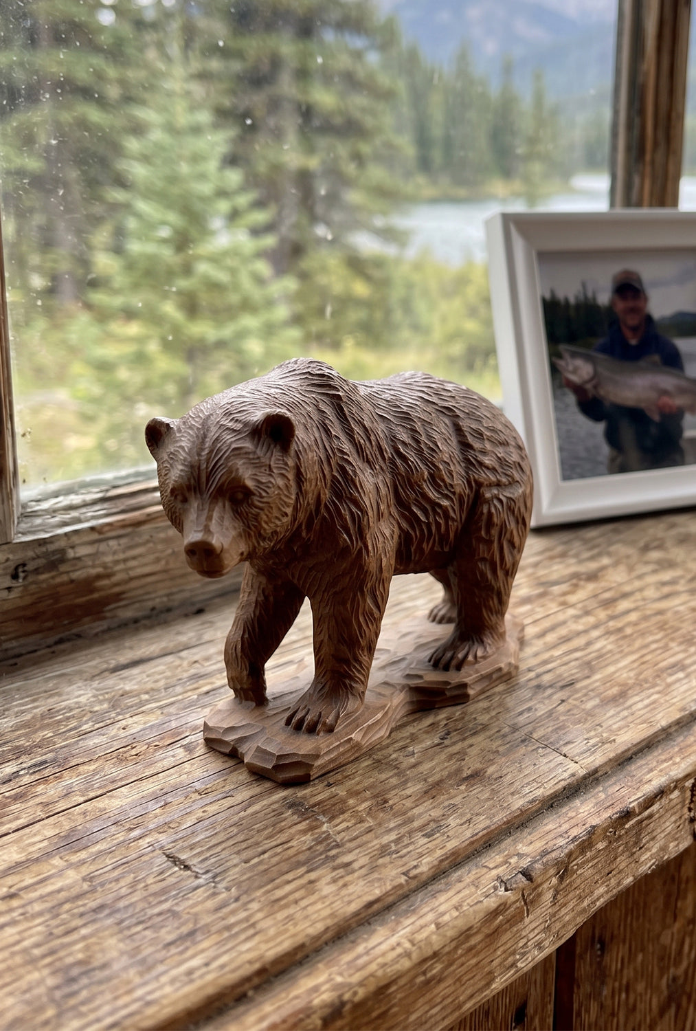 North American Wildlife